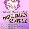 Festa dei Fiori - Castel del Rio
