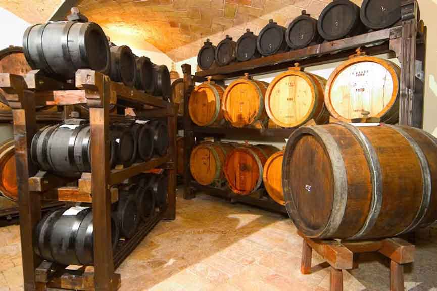 Cata de vinos en las colinas boloñesas de Bolonia